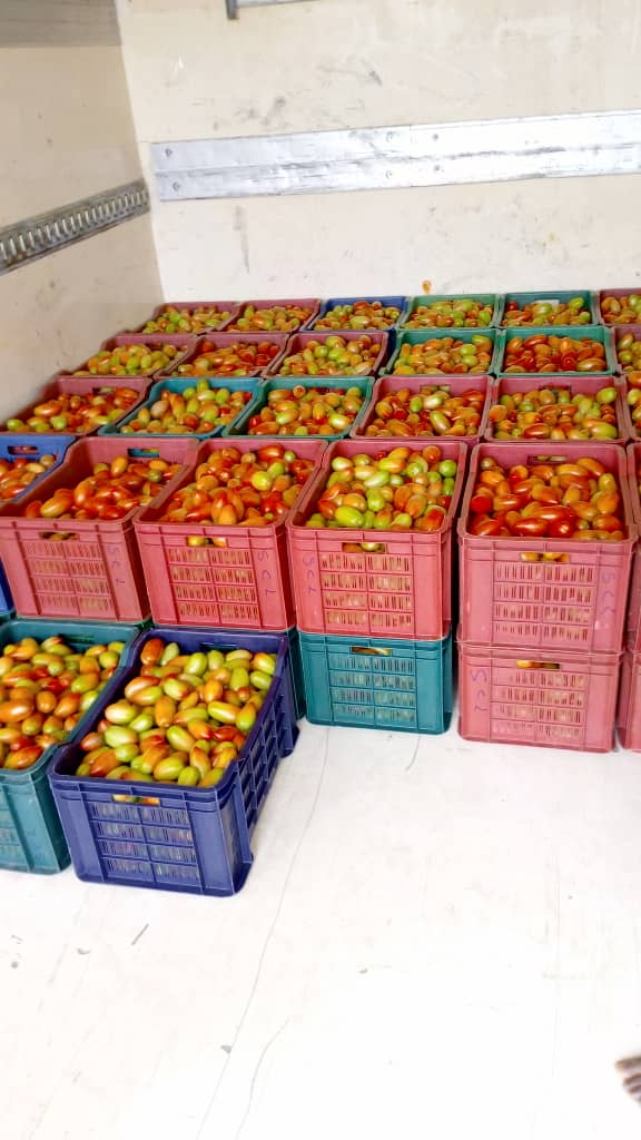 tomatos on the truck